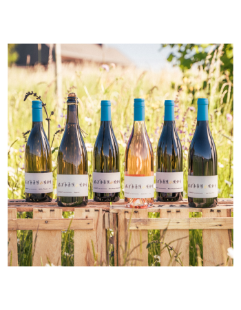 Weinbox - zum Kennenlernen